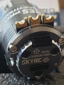 SKY RC ARES Pro Competition Brushless motor 5.0T