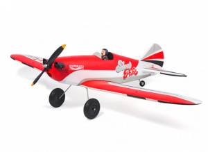 SLOW POKE DURAFLY HOBBYKING