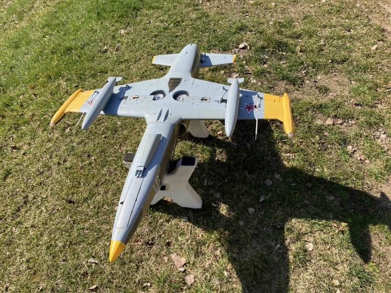 Prodám Freewing L-39 camo 80mm EDF