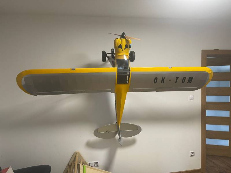 Hangar 9 Carbon Cub