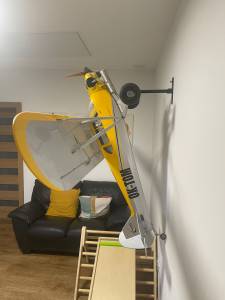 Hangar 9 Carbon Cub